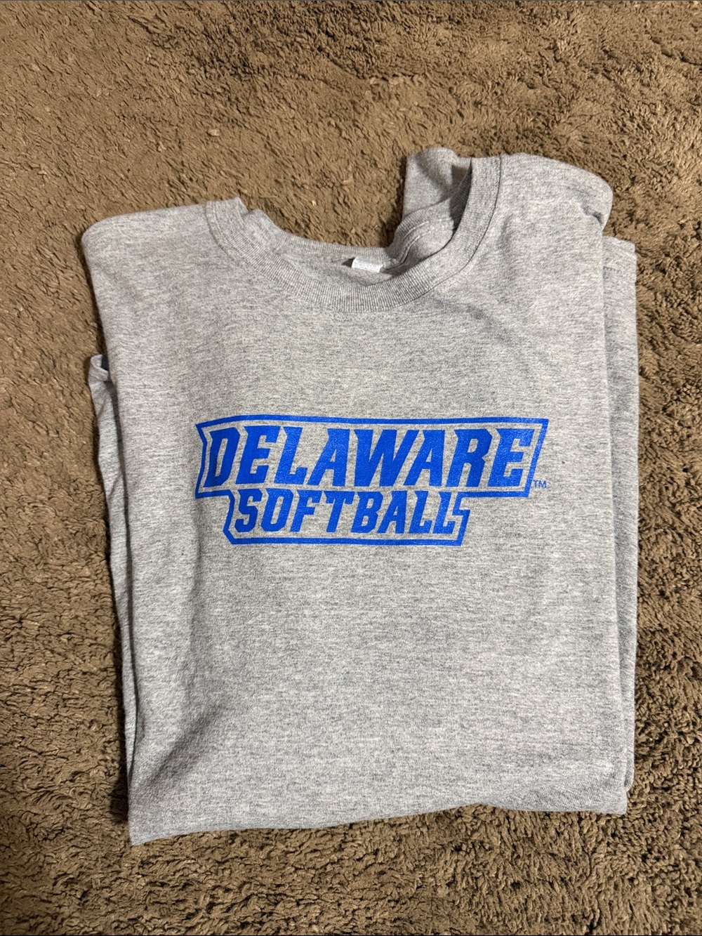 Jerzees Gray Long Sleeve with Blue Delaware Softball Logo